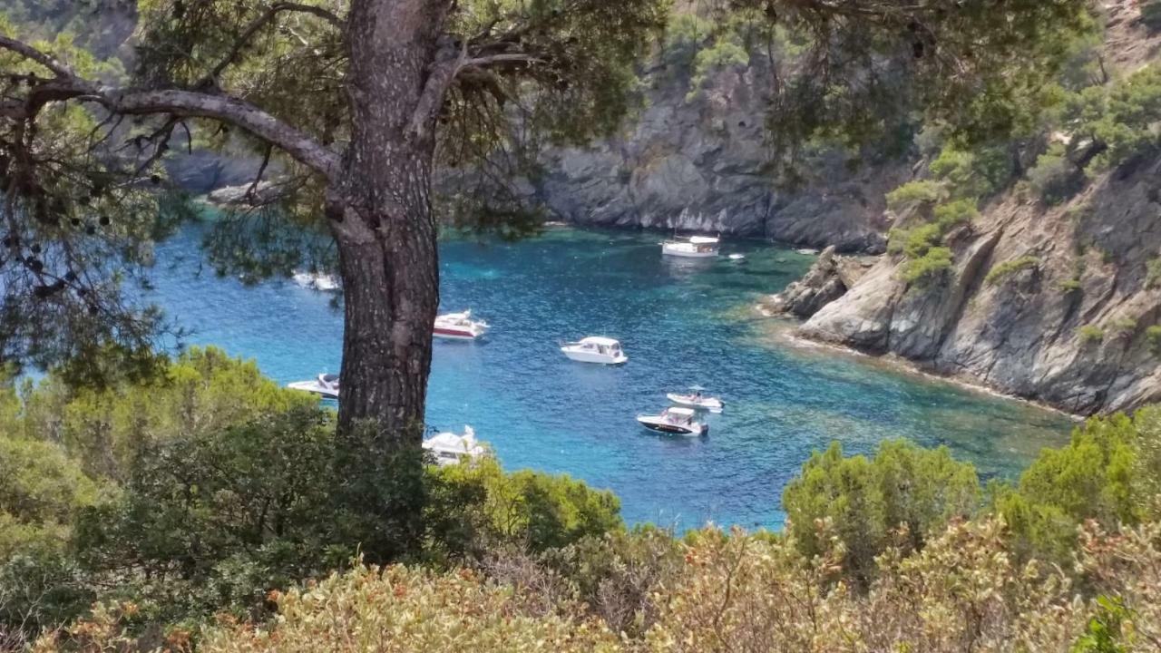 Puerto Simona 11A Διαμέρισμα Ρόζες Εξωτερικό φωτογραφία